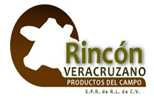 logo_2